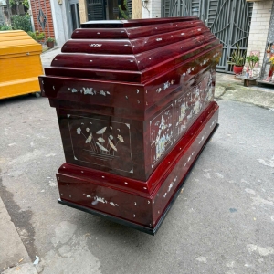 ÁO QUAN KIỂU MẪU 24